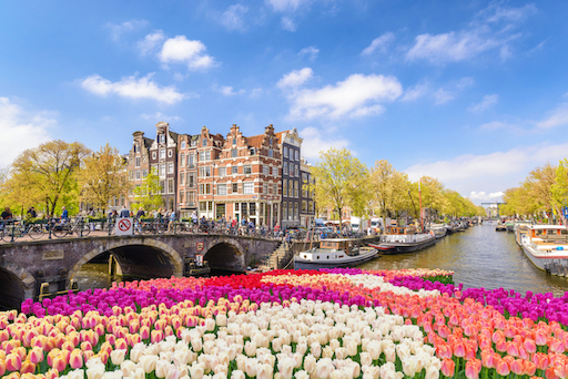 holland, amsterdam, tulips, river cruise