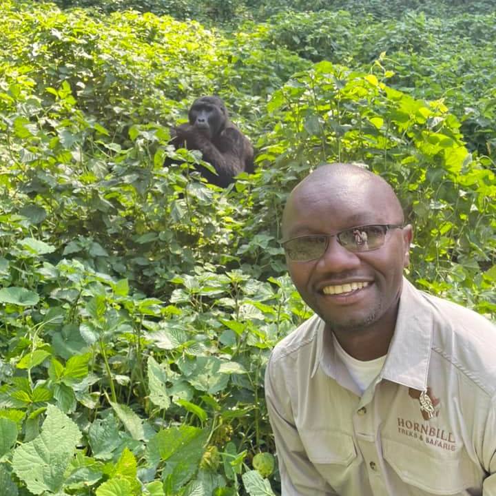 Premiere_Travel_Planners_Hornbill_Uganda_safari_gorilla_trekking